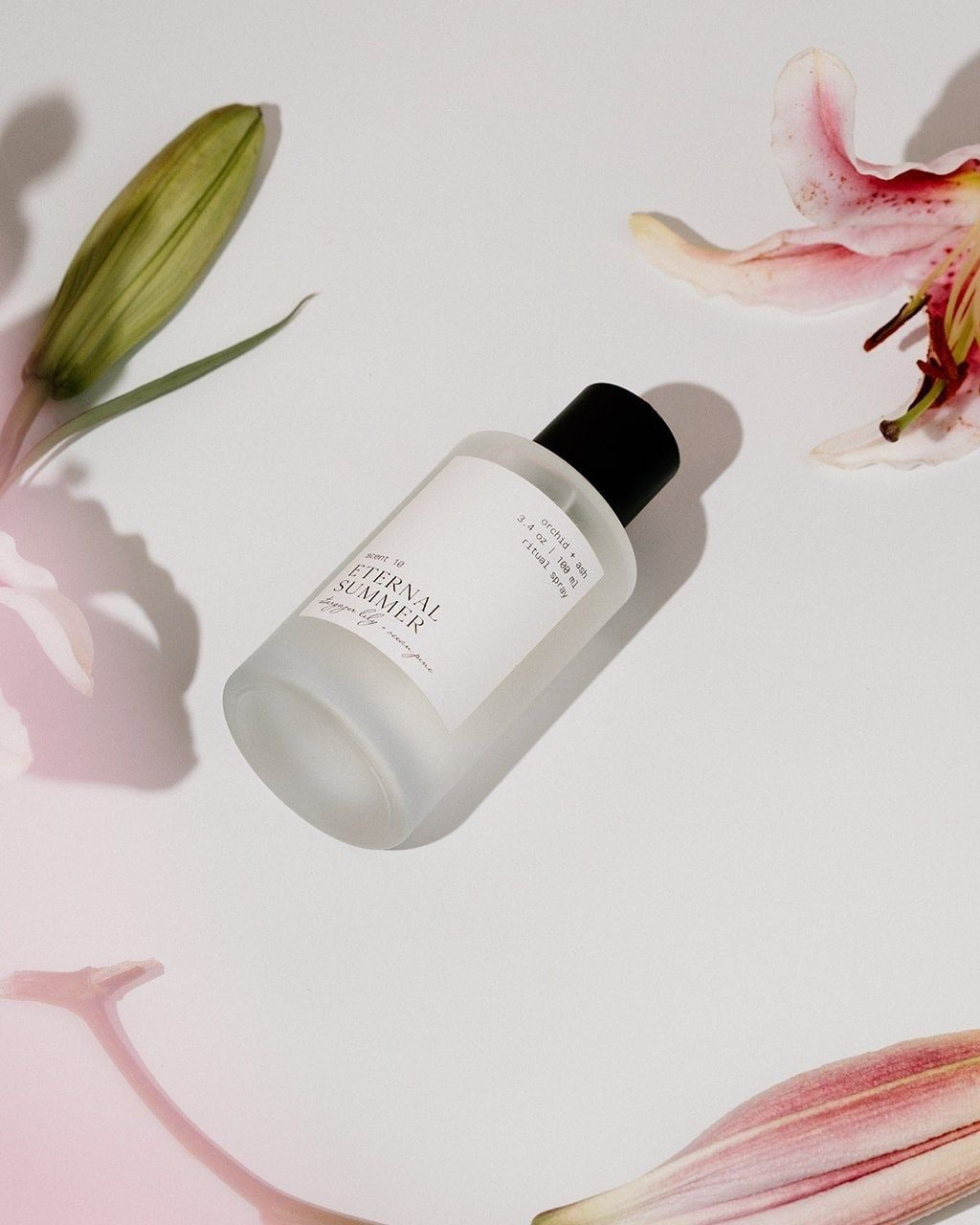 ☀️ The Summer Edit