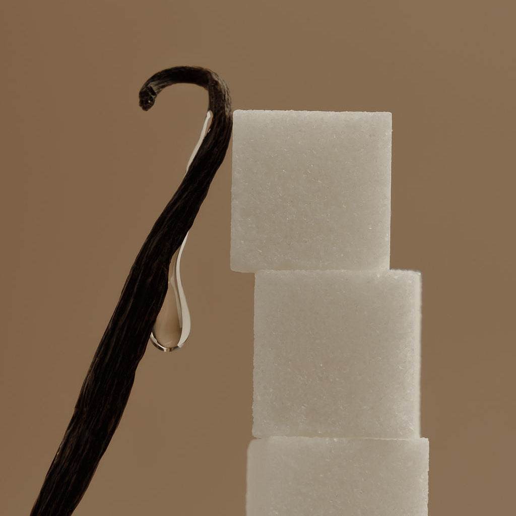 Vanilla bean next to three sugar cubes on a brown background