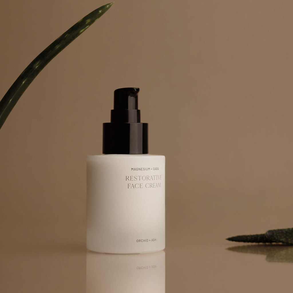 A white pump bottle of PRINCESSY CLOUD Restorative Face Cream with a black pump, set on a reflective beige surface with a warm beige background and a green aloe plant in the background.