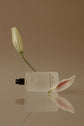 White flower bud and perfume bottle on a reflective surface with a beige background